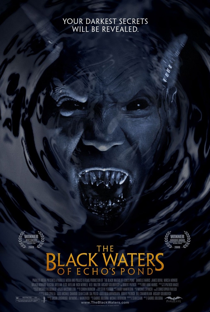 Черные воды Эха: постер N72095