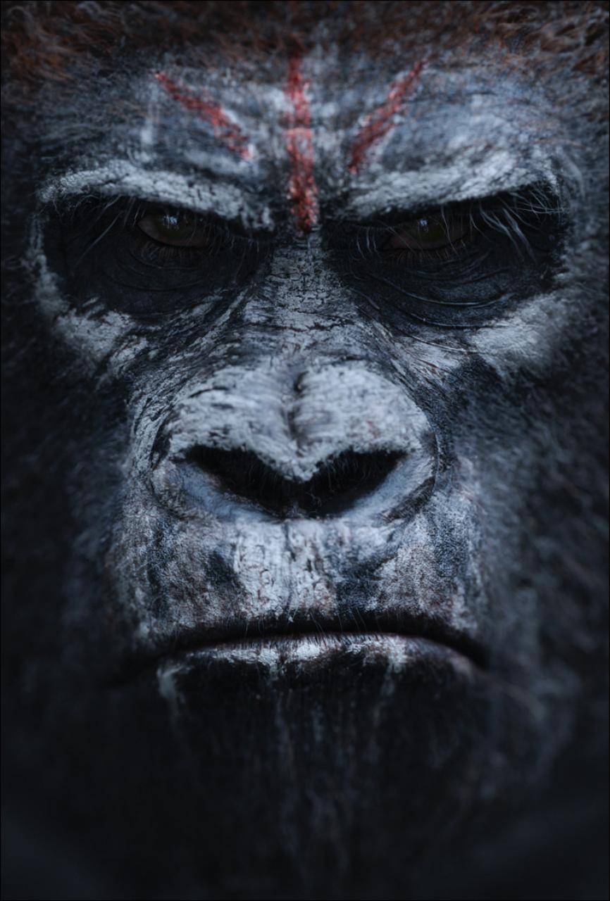 Планета обезьян: Революция: постер N76022