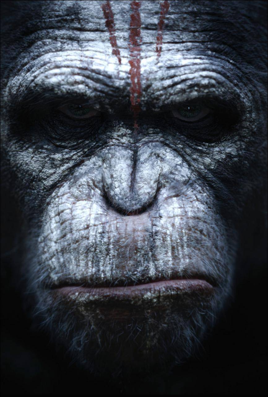 Планета обезьян: Революция: постер N76023