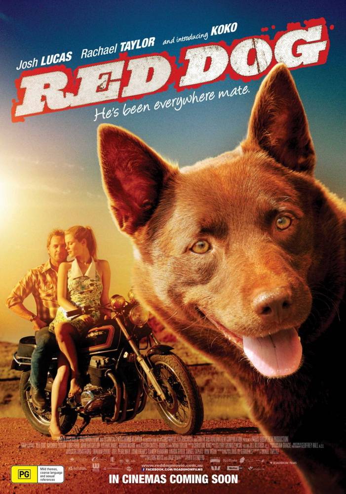 Рыжий пес: постер N77645