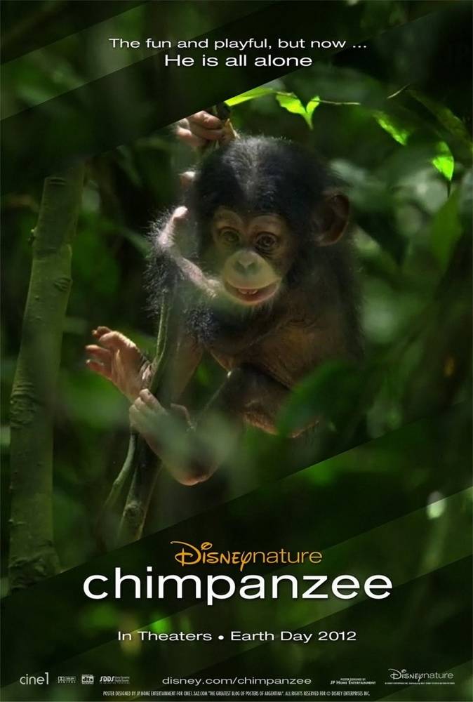 Шимпанзе: постер N88490