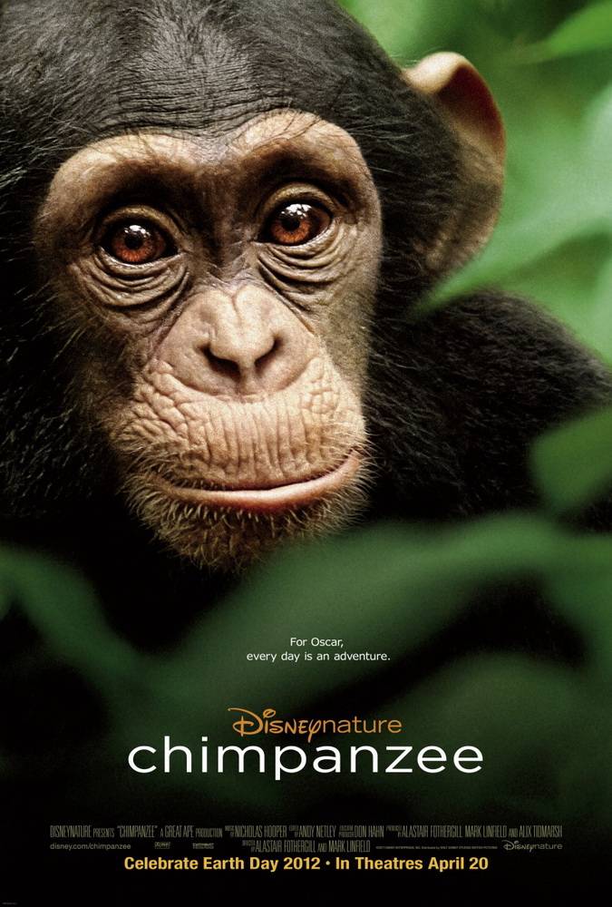 Шимпанзе: постер N88491