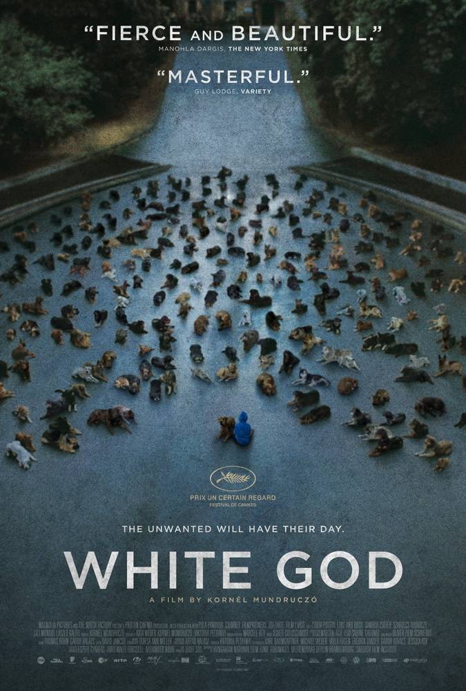 Белый Бог: постер N98187