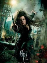 Превью постера #16807 к фильму "Гарри Поттер и Дары смерти: Часть 2"  (2011)