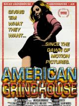 Превью постера #16837 к фильму "Американский грайндхаус" (2010)