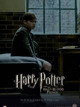 Превью постера #2312 к фильму "Гарри Поттер и принц-полукровка"  (2009)
