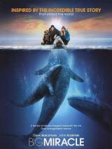 Превью постера #20602 к фильму "Все любят китов"  (2012)