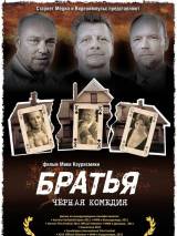 Превью постера #25286 к фильму "Братья" (2011)