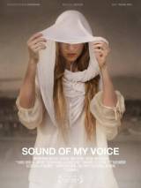 Превью постера #26653 к фильму "Звук моего голоса" (2011)