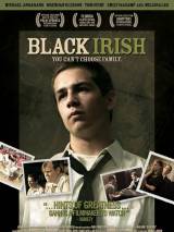 Превью постера #28170 к фильму "Черный ирландец" (2007)
