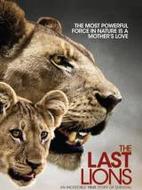 Превью постера #29511 к фильму "Последние львы" (2011)