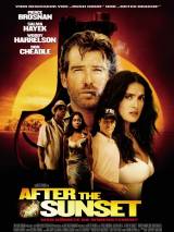 Превью постера #44889 к фильму "После заката" (2004)