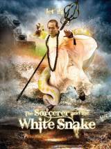 Превью постера #48283 к фильму "Чародей и Белая змея" (2011)