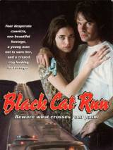 Превью постера #48820 к фильму "Бег черной кошки" (1998)