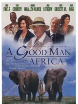 Превью постера #50419 к фильму "Хороший человек в Африке" (1994)