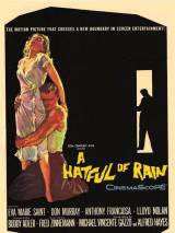 Превью постера #51080 к фильму "Шляпа, полная дождя" (1957)