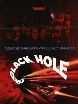 Превью постера #51137 к фильму "Черная дыра" (1979)