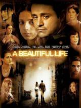 Превью постера #63275 к фильму "Красивая жизнь" (2008)