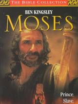 Превью постера #63373 к фильму "Пророк Моисей: Вождь-освободитель" (1995)