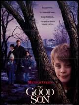Превью постера #63500 к фильму "Добрый сынок" (1993)