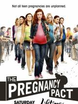 Превью постера #63800 к фильму "Договор на беременность" (2010)