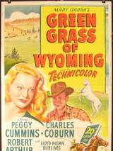 Превью постера #65201 к фильму "Зеленая трава Вайоминга" (1948)