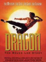 Превью постера #68080 к фильму "Дракон: История Брюса Ли" (1993)