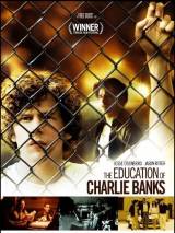 Превью постера #69468 к фильму "Образование Чарли Бэнкса" (2007)