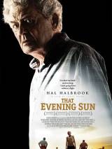 Превью постера #69513 к фильму "Это вечернее солнце" (2009)