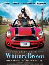 Превью постера #72028 к фильму "Молодость Уитни Браун" (2011)