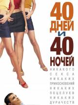 Превью постера #6521 к фильму "40 дней и 40 ночей" (2002)
