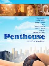 Превью постера #85440 к фильму "Пентхаус" (2010)