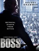 Превью постера #88336 к фильму "Босс" (2011)