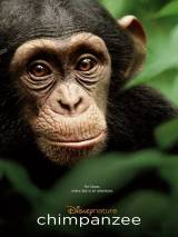 Превью постера #88491 к фильму "Шимпанзе" (2012)