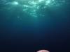 ������ ����� #26078 � ������ "�� ������� ������� 3D"