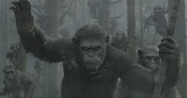 Планета обезьян: Революция: кадр N64147