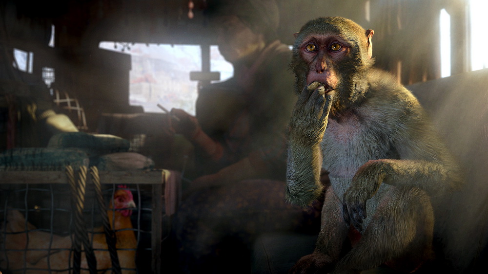 Far Cry 4: кадр N91496