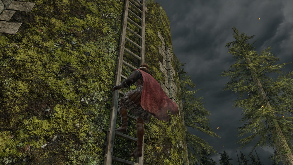Dark Souls II: кадр N93816