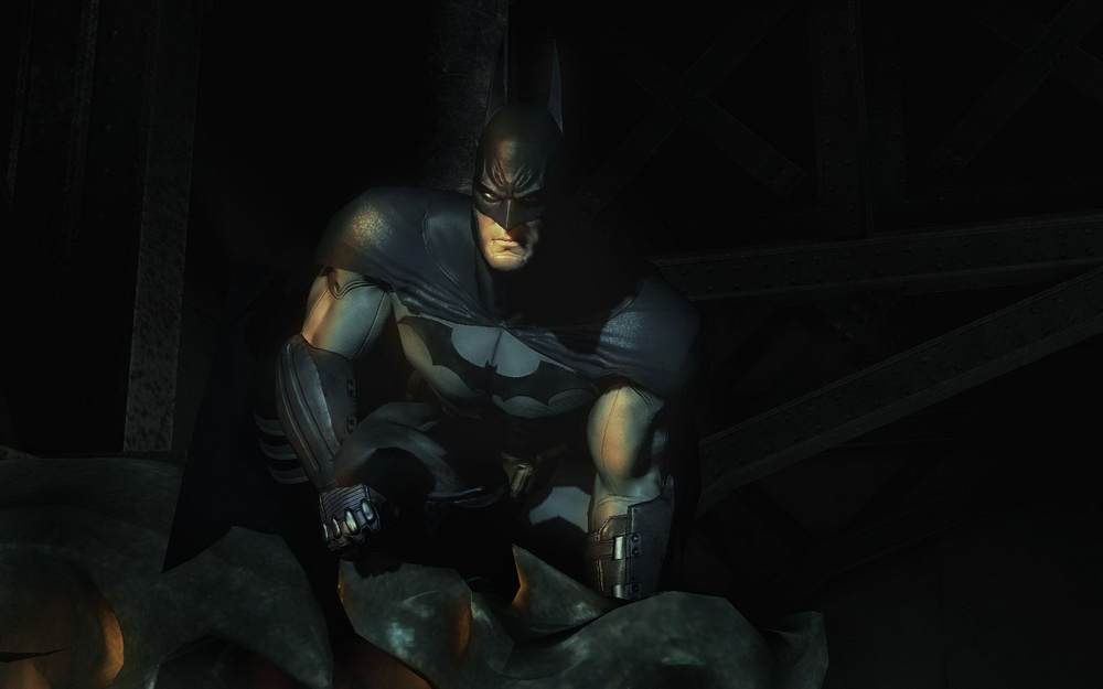 Бэтмен: Лечебница Аркхэм: кадр N95617