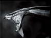 �������-��� � ������ "������"