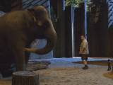 Превью кадра #23841 из фильма "Мой парень из зоопарка"  (2011)