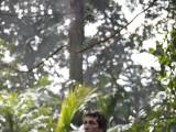 Превью кадра #27372 из фильма "Джунгли зовут! В поисках Марсупилами"  (2012)