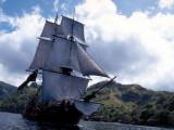 Превью кадра #33626 из фильма "Пираты Карибского моря: Проклятие Черной жемчужины"  (2003)