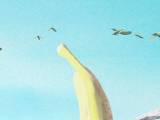 Превью кадра #49701 из мультфильма "Облачно возможны осадки в виде фрикаделек 2: Месть ГМО"  (2013)