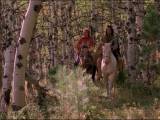Превью кадра #74656 к фильму "Танцующий с волками" (1990)