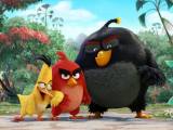 Кадры к мультфильму "Angry Birds в кино"