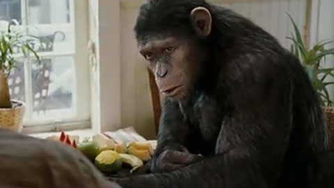 Международный трейлер фильма "Восстание планеты обезьян"