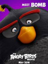 Превью постера #113951 к мультфильму "Angry Birds в кино"  (2016)