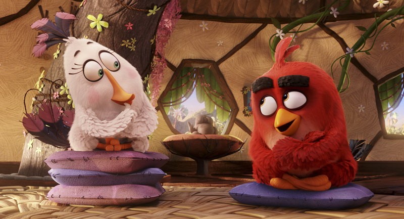 Angry Birds в кино: кадр N122167