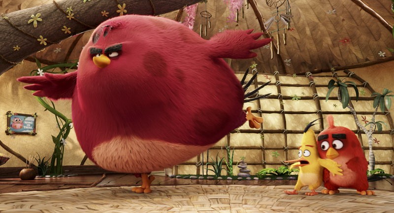 Angry Birds в кино: кадр N122170